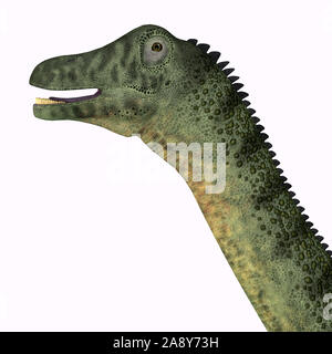 Saltasaurus era un erbivoro sauropod dinosaur che ha vissuto in Argentina durante il Cretacico. Foto Stock