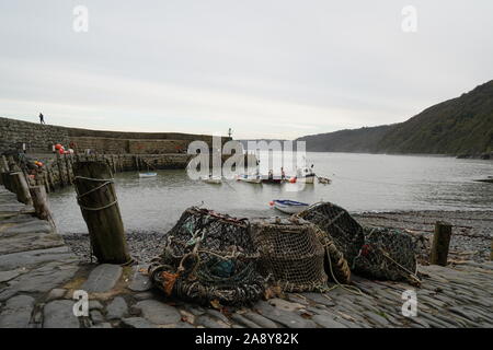 Reti di granchio su una parete del porto Foto Stock