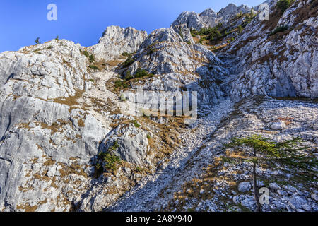 Paesaggio di montagna in Piatra Craiului Mountains, Romania Foto Stock