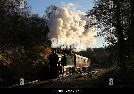 5541 capi passato ciuffi sulla Foresta di Dean ferrovia. Foto Stock