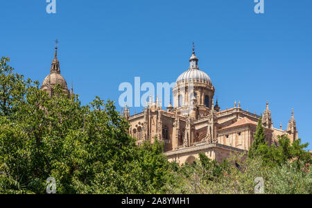 Vista esterna della cupola e intagli sul tetto della vecchia cattedrale di Salamanca Foto Stock