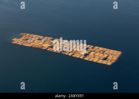 Vista aerea del rimorchiatore a traino il traino di legname nell'oceano durante un vago giorno d'estate. Prese a Sunshine Coast, BC, Canada. Foto Stock