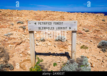 13 OTT 19. La foresta pertrified su Cape Nelson è parte del Discovery Bay e il Parco Marino Nazionale vicino a Portland, Victoria, Australia Foto Stock