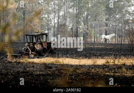 (191112) -- PECHINO, nov. 12, 2019 (Xinhua) -- un cavallo bianco trot sul campo dove un casale è stato bruciato dal bushfires vicino a Port Macquarie nel Nuovo Galles del Sud, Australia, nov. 11, 2019. Un devastante inizio di Australian bushfire stagione ha richiesto lo stato di emergenza nella parte orientale di Stato del Nuovo Galles del Sud (NSW), con il paese più grande città di Sydney di supporti antisismici per 'catastrofico' pericolo di incendio. Lunedì è stato dichiarato uno stato di emergenza per NSW, con eccezionalmente caldo e ventoso condizioni previste per martedì, rischia di creare una ancor più grande disastro incendio rispetto a quella che ha lasciato th Foto Stock