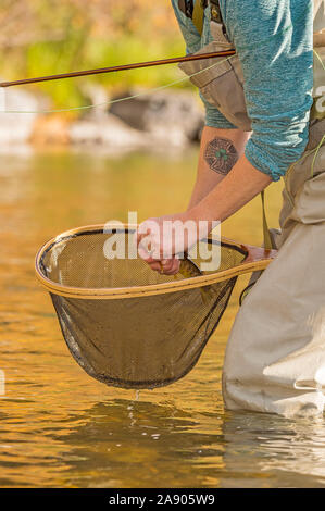 Una donna tira un gancio da una trota sopra la sua rete su una caduta giorno mentre la pesca lungo il fiume Poudre nel nord del Colorado. Foto Stock