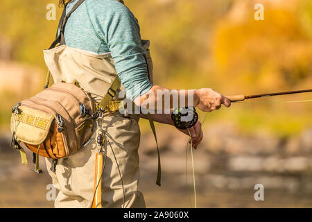 Una donna che contiene la sua canna da mosca e l'aspo durante la pesca in un assolato pomeriggio di caduta nel nord del Colorado. Foto Stock