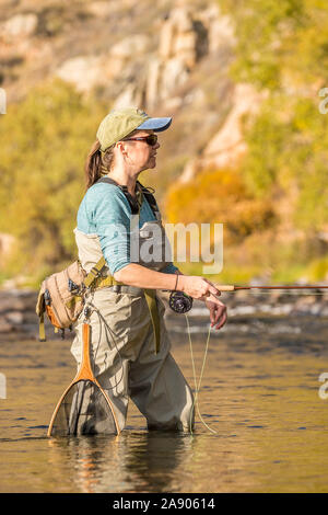 Una donna che contiene la sua canna da mosca e l'aspo durante la pesca in un assolato pomeriggio di caduta nel nord del Colorado. Foto Stock