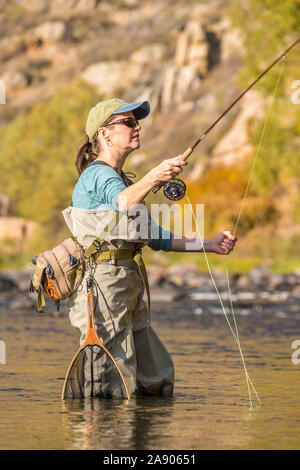 Una donna getta la sua canna da mosca e l'aspo durante la pesca in un assolato pomeriggio di caduta nel nord del Colorado. Foto Stock