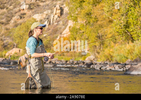 Una donna getta la sua canna da mosca e l'aspo durante la pesca in un assolato pomeriggio di caduta nel nord del Colorado. Foto Stock