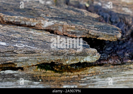 Dettaglio di una vecchia panca di legno Foto Stock