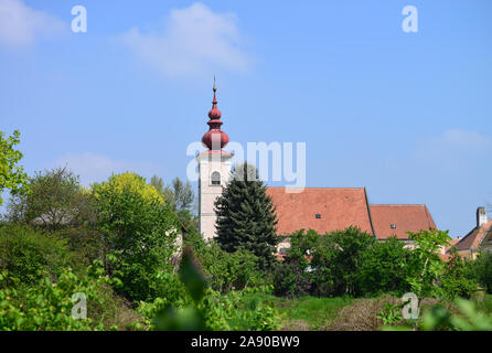 La Chiesa cattolica in Orth an der Donau città. Austria Foto Stock