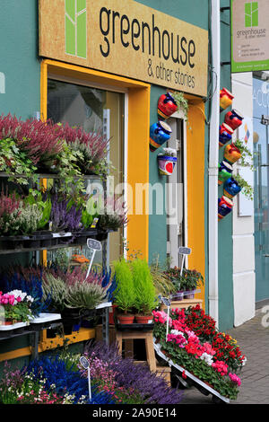 Pearse Street, Kinsale, County Cork, Irlanda Foto Stock