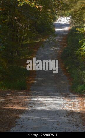 Paese di curvatura della strada attraverso la foresta di autunno Foto Stock