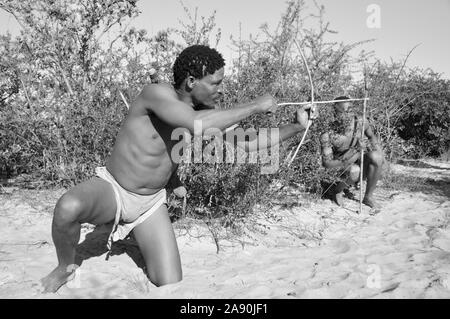 Naro-Bushmen vicino a Ghanzi nella Central Kalahari Game Reserve del Botswana Foto Stock