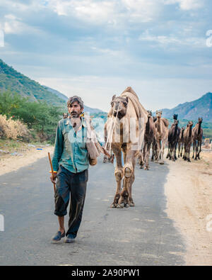 Commercianti di cammello che ritornano dalla foresta del deserto con la sua carovana alla fiera annuale del cammello a Pushkar, Rajasthan. Foto Stock