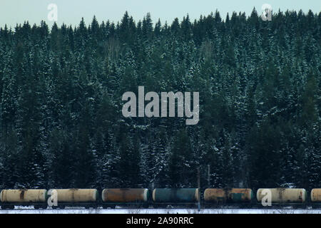 Treno merci si muove attraverso la foresta di conifere lungo il fiume congelato Foto Stock