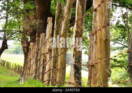 Un lungo recinto con filo spinato in un campo Foto Stock