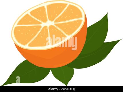 Tagliare arancione con foglie. Illustrazione Vettoriale