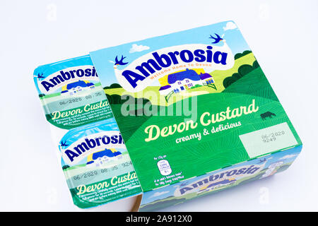 Pack di Ambrosia Devon crema dessert Foto Stock