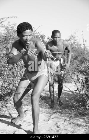 Caccia Naro-Bushmen vicino a Ghanzi nella Central Kalahari Game Reserve del Botswana Foto Stock