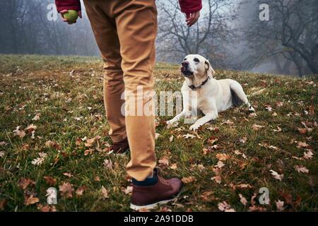 Cane e uomo a piedi in autunno la natura. Obbedienti labrador retriever cercando fino al suo proprietario. Foto Stock