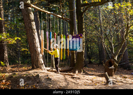 Una stazione della Boszorkany meseosveny (Strega sentiero didattico nel bosco), un kid bambino colpendo verticale bastoncini di legno rendendo il suono, Sopron, Ungheria Foto Stock