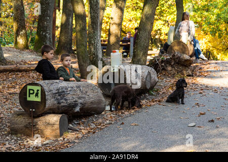 Parcheggio ormeggio per cani nella foresta, tronchi di alberi con ganci e fusto in plastica. Due bambini che guardano. Karoly-Chilato, Sopron, Ungheria Foto Stock
