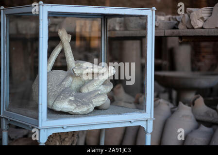 Pompei. L'Italia. Sito archeologico di Pompei. Calco in gesso di un cane ucciso dall'eruzione del Vesuvio nel 79 d.c. Regio VII Foto Stock