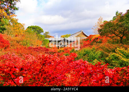 Vista del Tofuku-ji in autunno con alberi colorati in Kyoto, Giappone. Foto Stock