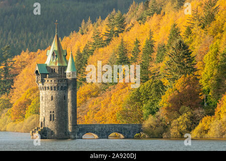 Lago Vyrnwy Foto Stock