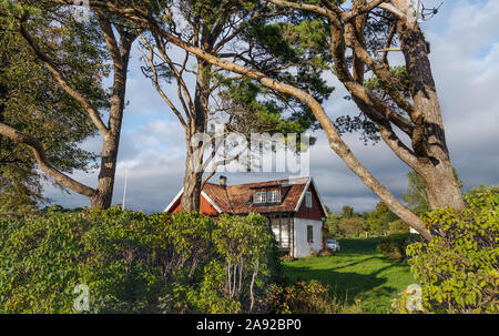 Alberi di fronte a casa in legno Foto Stock
