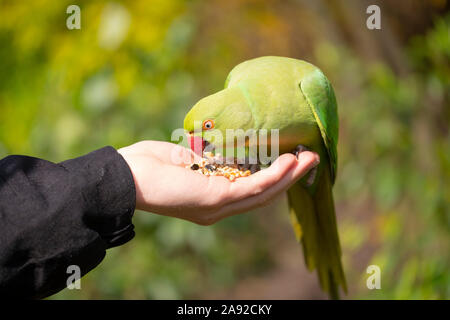 Ora della merenda Foto Stock