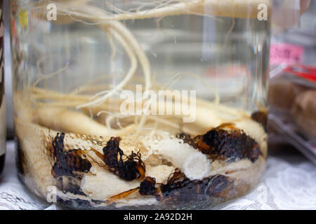 Energy Drink di Ginseng e api in alcool di riso, Tokyo, Giappone. Foto Stock