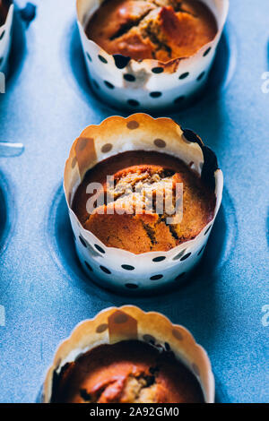 In prossimità di alcuni appena sfornato di zucca muffin rivestiti su un alluminio vassoio da forno per la Festa di halloween visualizzata su un blu scheda rustico, laici piatta vista dall'alto,nat Foto Stock