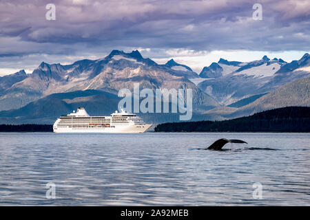 Megattere (Megaptera novaeangliae), marea e una nave da crociera lungo la costa e le montagne costiere, passaggio interno, canale Lynn Foto Stock