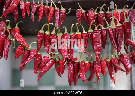 Red Chilis appesi ad asciugare. Foto Stock