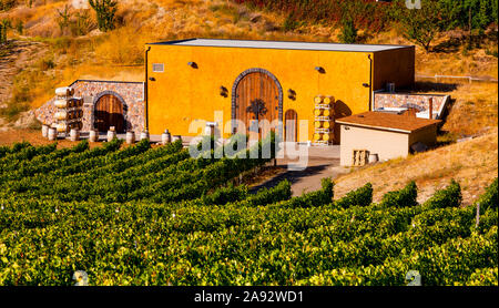 Vigneto nella South Okanagan Valley; Naramata, British Columbia, Canada Foto Stock