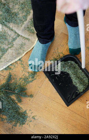 Pulizia di albero di Natale aghi Foto Stock