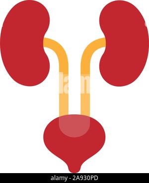Icona medico sistema rene vescica urinaria illustrazione vettoriale progettazione grafica. Illustrazione Vettoriale