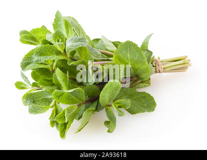 Fresche foglie di menta verde isolato su sfondo bianco Foto Stock