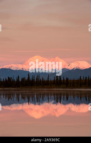 Nord America; Stati Uniti; Alaska; Parco Nazionale di Denali; Mt. Denali; 20; 320'.; Nord Ameica il picco più alto; Alba; l'autunno. Foto Stock