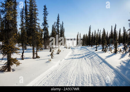 Inverno tundra artica paesaggio. Sentiero Snowmachine tra Kotzebue e Noatak. A Noatak river delta nel Northwest Arctic Borough in Alaska. Foto Stock