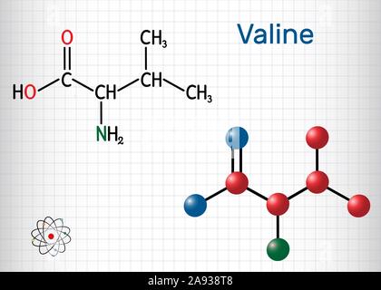 Valina, Val molecola, è -ammino acido . Esso viene utilizzato nella biosintesi delle proteine. Foglio di carta in una gabbia. Formula chimica di struttura e la molecola Illustrazione Vettoriale