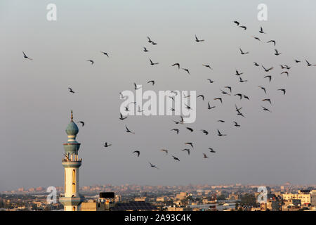 Piccioni che volano intorno al minareto di una moschea a Rafah, nella striscia meridionale di Gaza. Foto Di Abed Rahim Khatib/Alamy Foto Stock