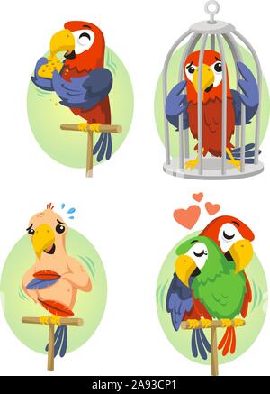 Cartoon parrot set 2 Illustrazione Vettoriale