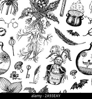 Mitico mandrake impianto. Seamless pattern in stile vintage. Fantasy Fiore magico e ingredienti per stregoneria. Disegnata a mano incisi vecchio schizzo rétro Illustrazione Vettoriale