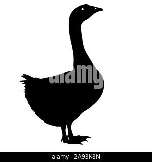 Silhouette bird goose su uno sfondo bianco. Foto Stock