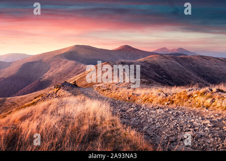 Erba gialla tremante nel vento in autunno le montagne di sunrise. Carpazi, Ucraina. Fotografia di paesaggi Foto Stock