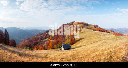 Panorama di autunno pittoresco prato con casa in legno e il bosco di faggi rossi alberi nelle montagne dei Carpazi, Ucraina. Fotografia di paesaggi Foto Stock