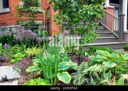 Questa bella, urban cortile anteriore Garden dispone di una grande veranda, mattone lastricatore passerella, parete di ritegno con impianti di bulbi, arbusti e piante perenni. Foto Stock